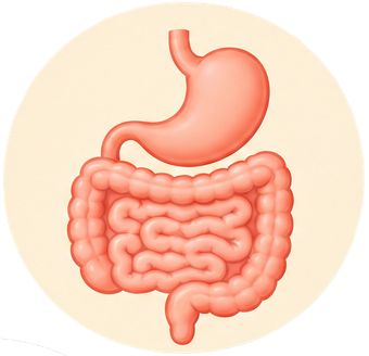 Gastrointestinal