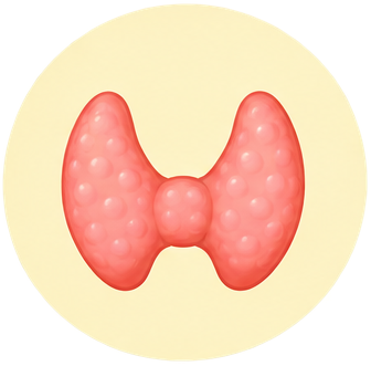 Hormonal / Endocrine